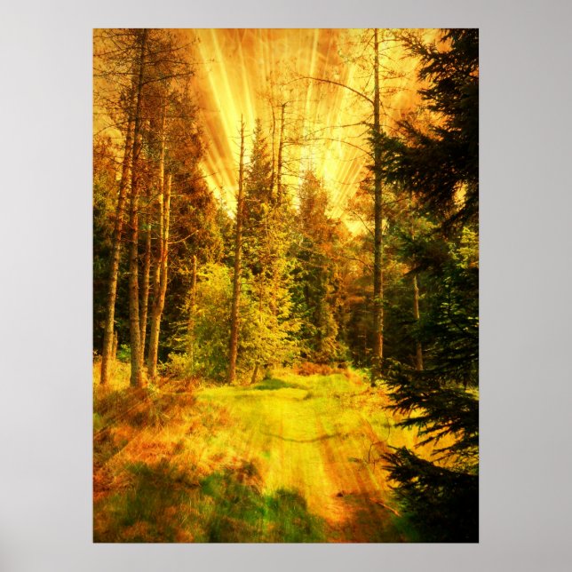 Poster Tempête de feu des bois d'automne. (Devant)