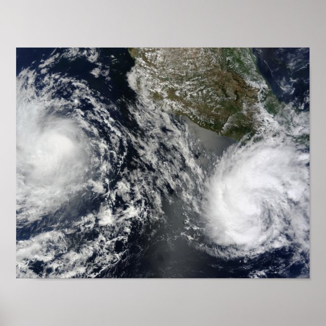 Poster Tempêtes tropicales à Blas et Celia (Devant)
