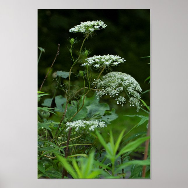 poster template (Front)