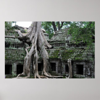Poster temple de ta prohm au cambodge