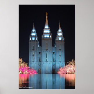 Poster Temple reflété