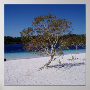 Poster Temps de détente