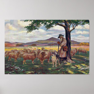 Poster Tendre le mouton