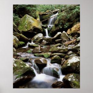 Poster Tennessee, Parc national des Great Smoky Mountains