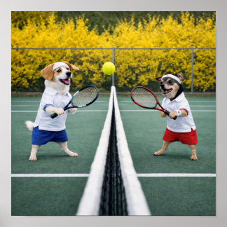Poster "Tennis pour tous ?"