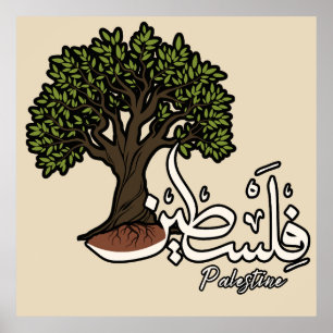 Poster Terme arabe palestinien avec Olivier palestinien
