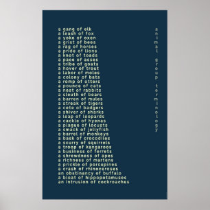 Poster Terminologie du groupe animal