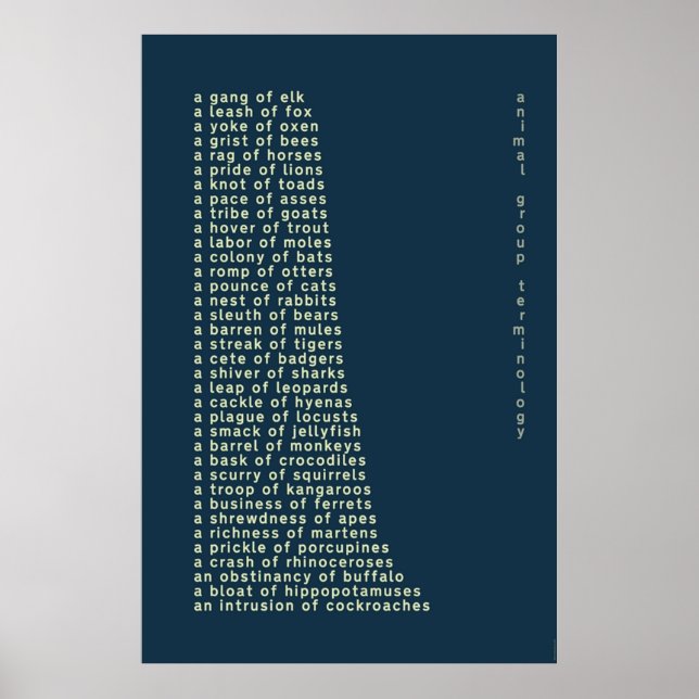 Poster Terminologie du groupe animal (Devant)