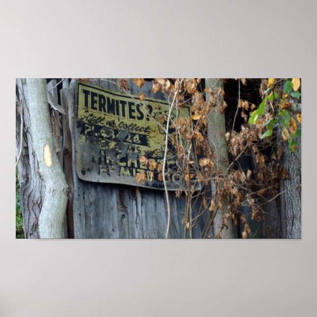 Poster Termites ? (Devant)