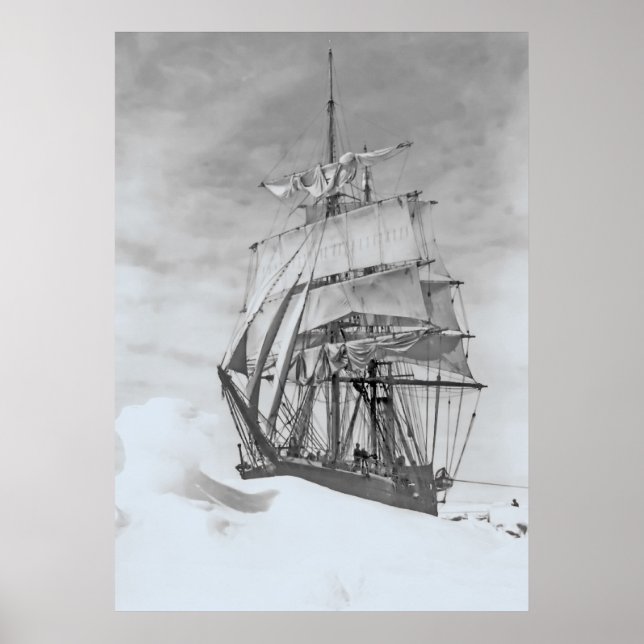 Poster Terra Nova (Devant)