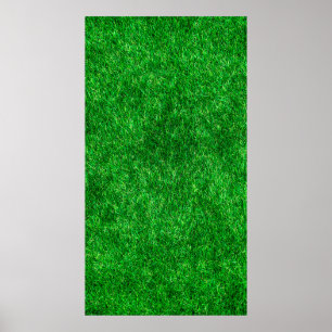 Poster Terrain de jardin de pelouse
