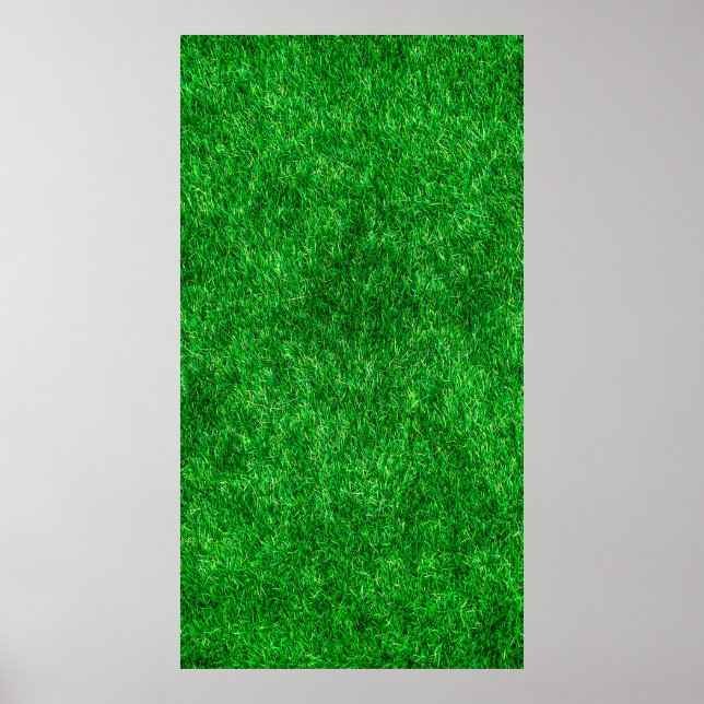 Poster Terrain de jardin de pelouse (Devant)