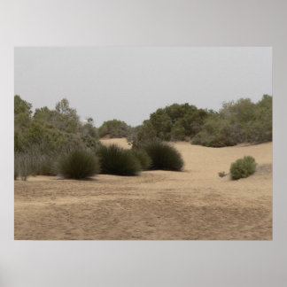 Poster Terrain désertique 1