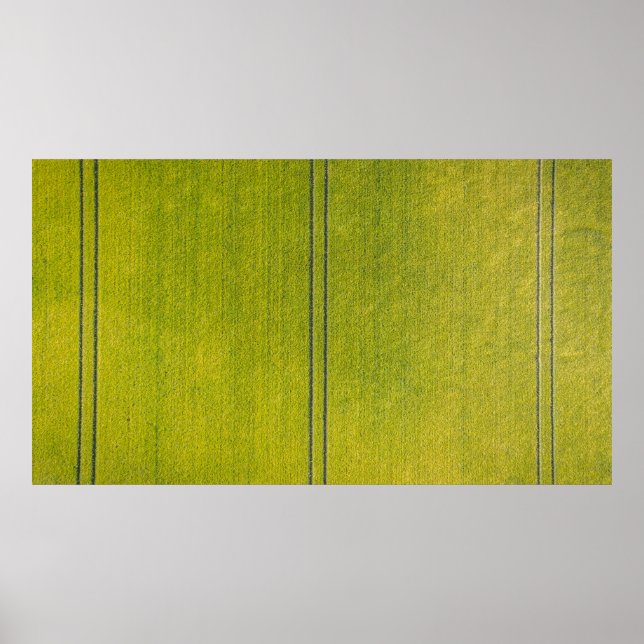 Poster Terrain d'herbe verte (Devant)