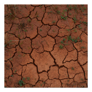 Poster terrain sec et fissuré