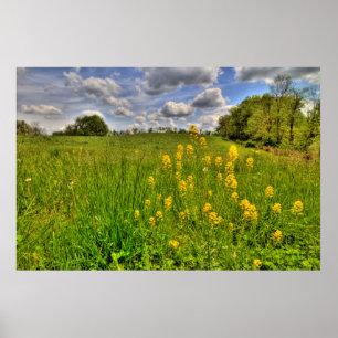Poster Terrain vert et ciel bleu nuageux