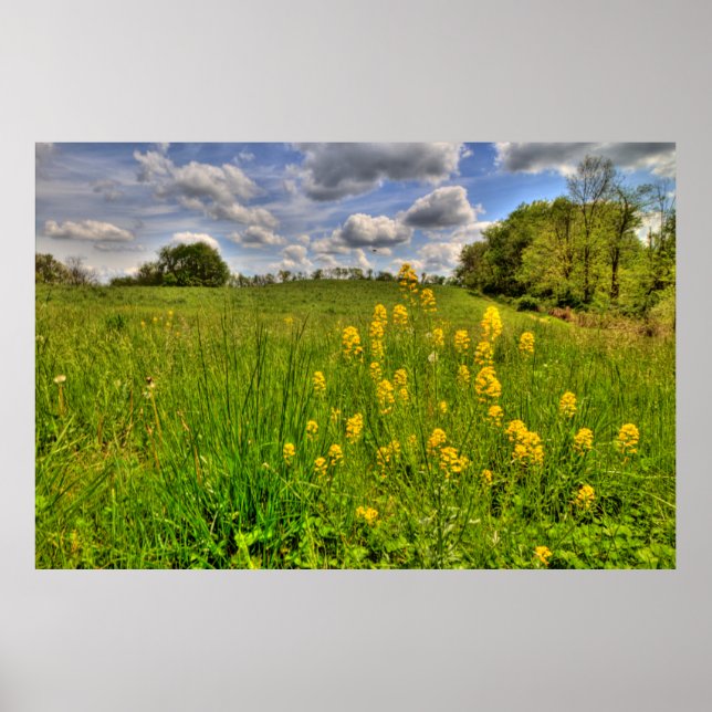 Poster Terrain vert et ciel bleu nuageux (Devant)
