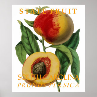 Poster Terre de Caroline du Sud Fruit : La Pêche