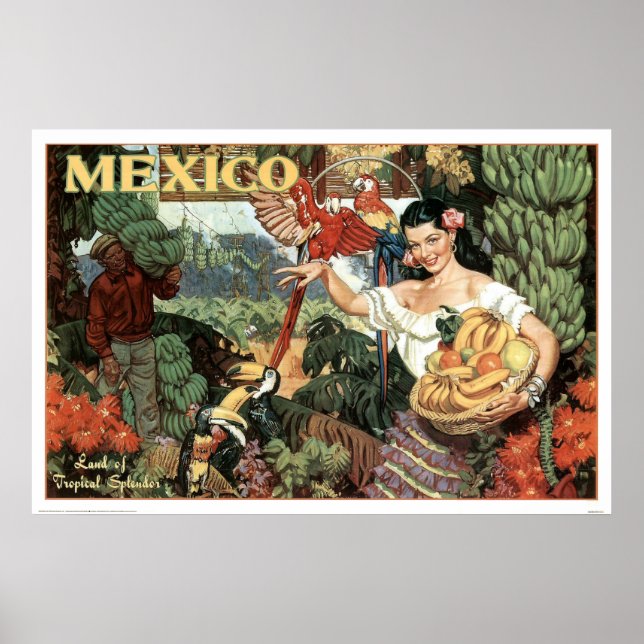 Poster Terre de Splendor Tropical (Devant)