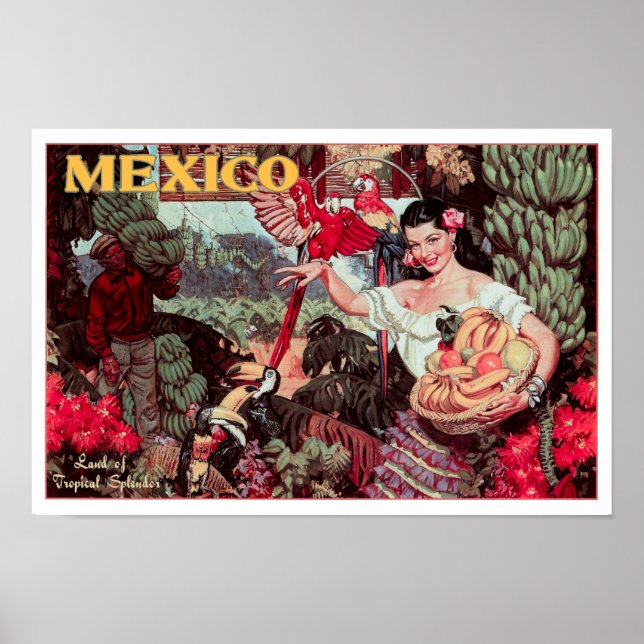Poster TERRE DU SPLENDEUR TROPICAL MEXIQUE c. 1950 (Devant)