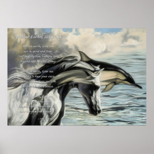 Poster Terre frère, mer soeur