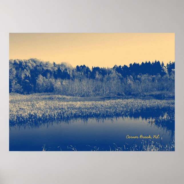 Poster Terre-Neuve, Canada, Marshlands Arbres et Eaux (Devant)