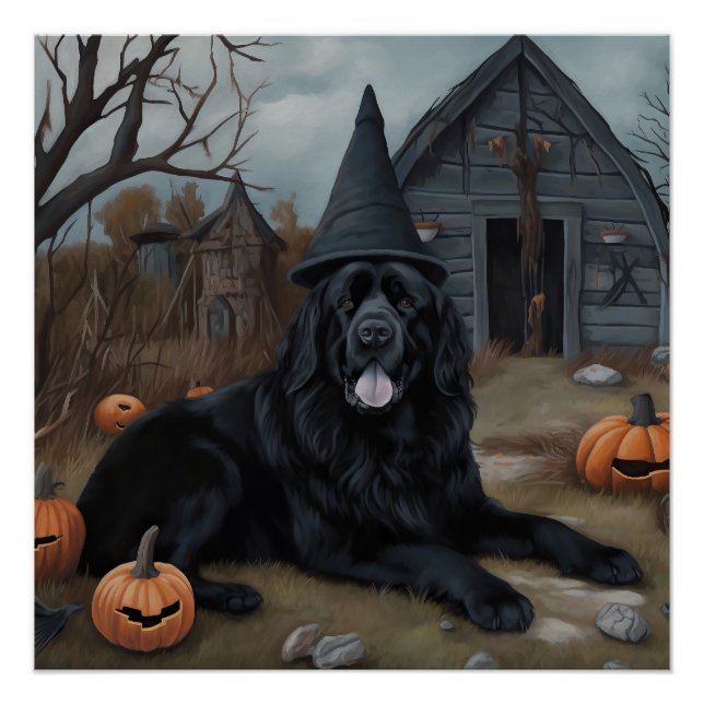 Poster Terre-Neuve Citrouille Halloween effroi (Devant)