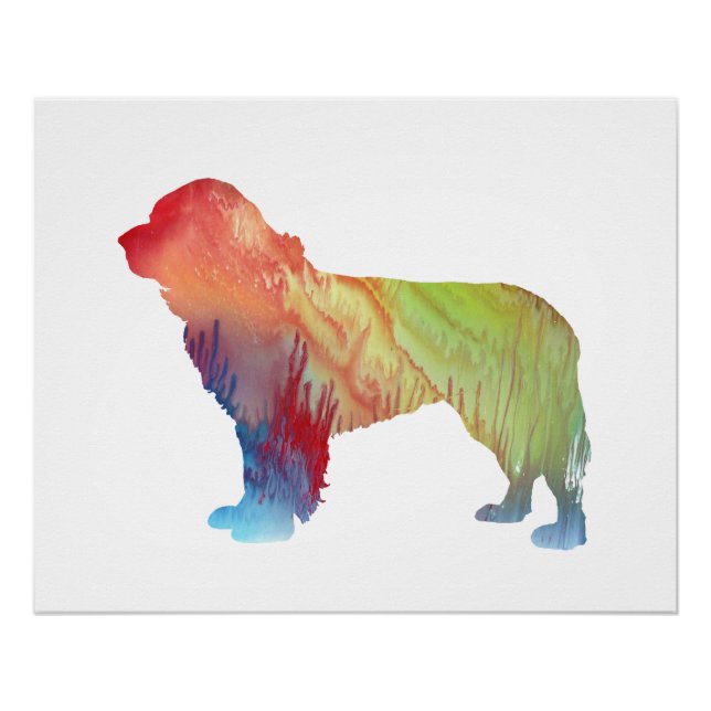 Poster Terre-Neuve Dog Art (Devant)
