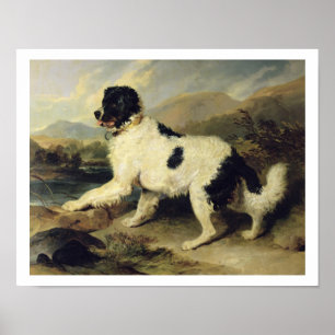 Poster Terre-Neuve-et-Labrador, 1824 (huile sur toile)