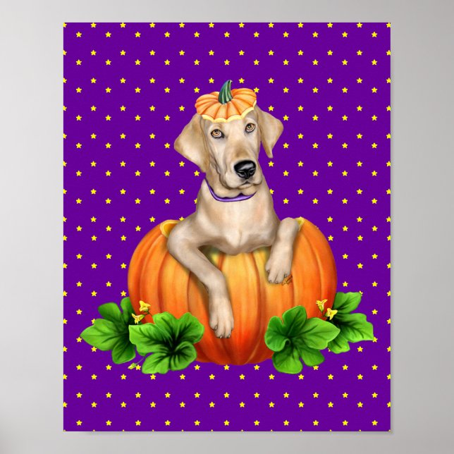 Poster Terre-Neuve-et-Labrador jaune (Devant)