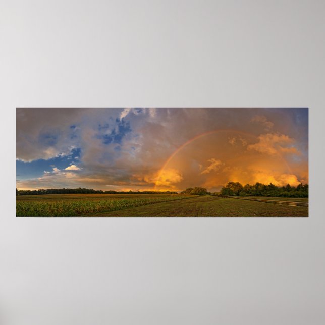 Poster Terre promise (Devant)