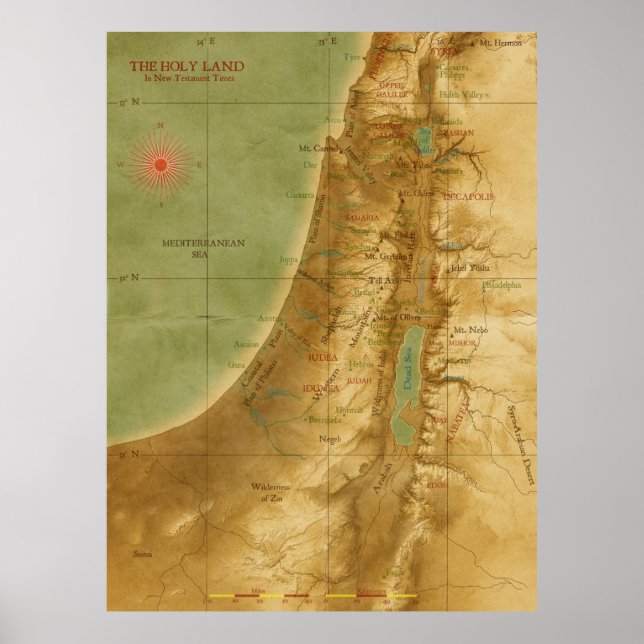 Poster Terre Sainte antique (Devant)