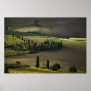 Poster Terres agricoles autour de Montepulciano, Toscane,