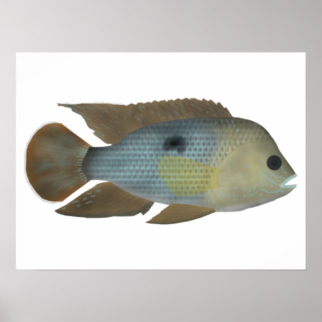 Poster Terreur verte (Devant)