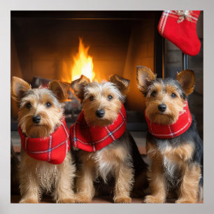 Poster Terrier australien près du feu Noël