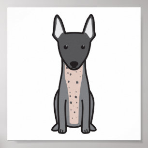 Poster Terrier chauve américain