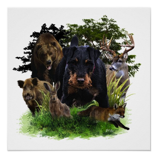 Poster Terrier de chasse allemand (Jagdterrier) (Devant)