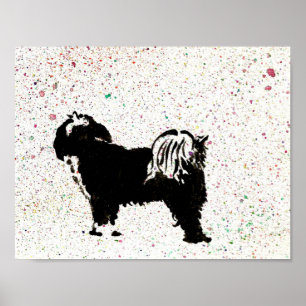 Poster Terrier tibétain - regardant