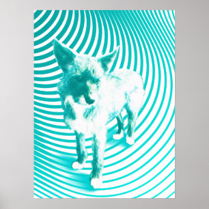 Poster Terrier turquoise