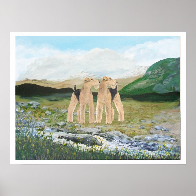 Poster Terriers en Irlande (Devant)