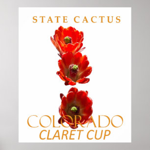Poster Territoire du Colorado Cactus The Claret Cup