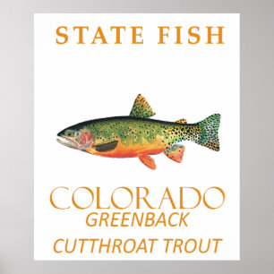 Poster Territoire du Colorado Poisson La truite Greenback