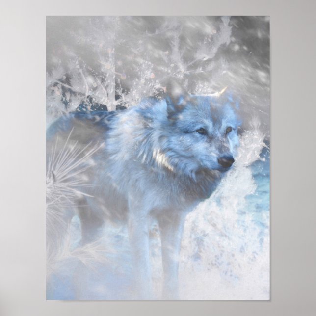 POSTER TERRITOIRE DU LOUP HIVER (Devant)