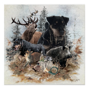 Poster Tervueren allemand de chasse (Jagdterrier)