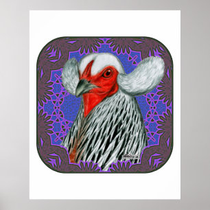 Poster Tête Araucana encadrée