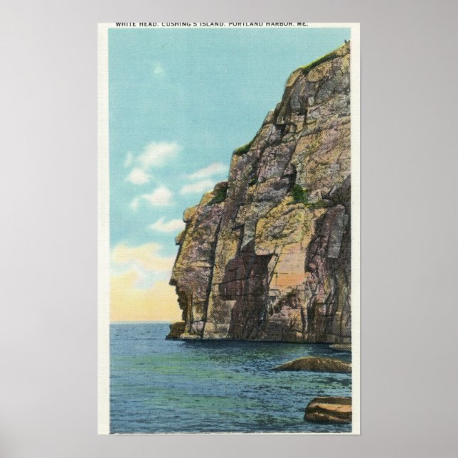 Poster Tête blanche dans le port de Portland (Devant)