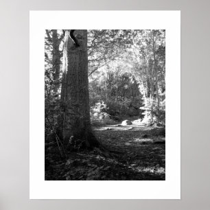 Poster Tête de château en bois : Keswick