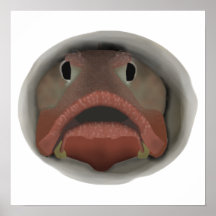 Tête de fringale sarcastique - Tête de poisson