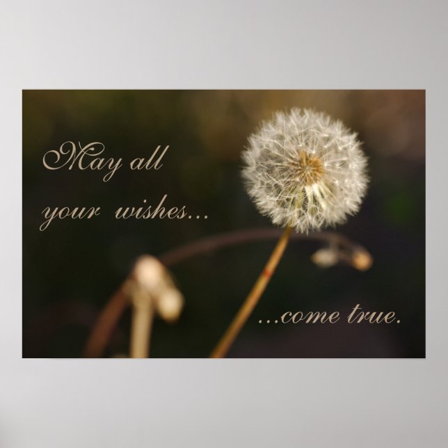 Poster Tête de graines de Dandelion en tons Brown (Devant)