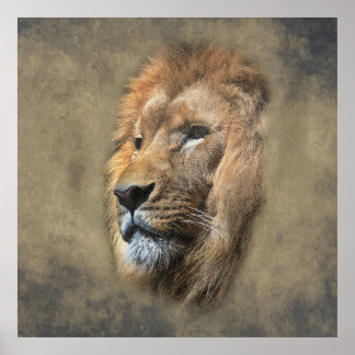 Poster Tête de lion